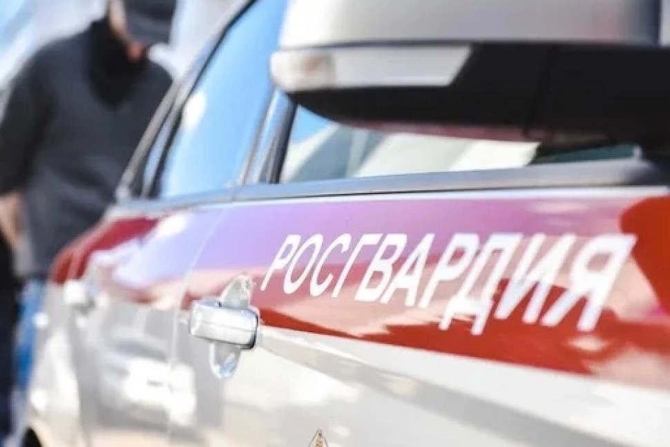 Росгвардеец из Архангельска задержал уличного грабителя в свой выходной